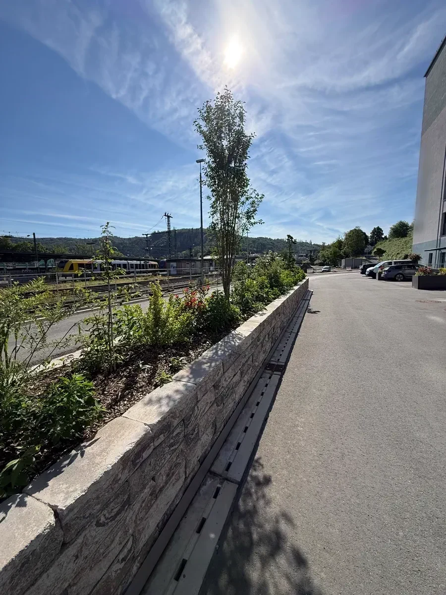 Straßenseitige Betonstützmauer mit Entwässerungsöffnungen, davor junge Bäume